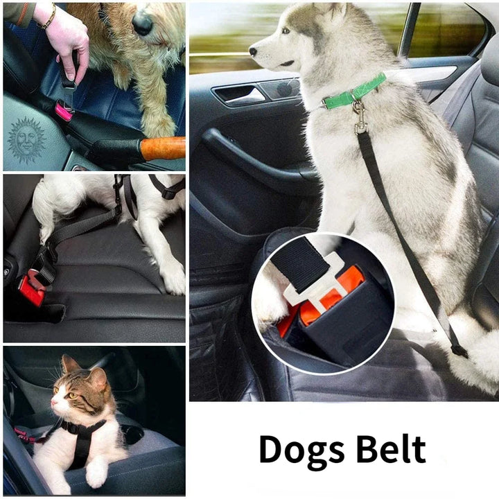 Adjustable Pet Safety Belt for Cars