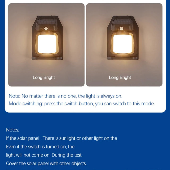 Solar Light with Motion Sensor